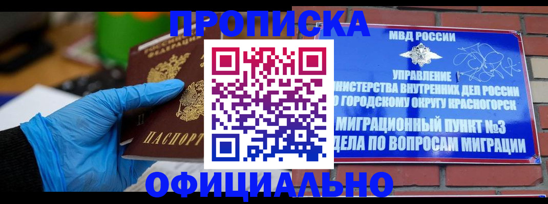 регистрация для школы в Ярославле